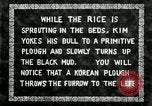 Standbild koreanischen Landwirt das Ox-pflügen Korea, 1936, aus Sekunde 3 historischem Filmmaterial Videoclip 65675028845
