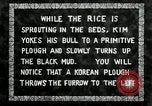Standbild koreanischen Landwirt das Ox-pflügen Korea, 1936, aus Sekunde 6 historischem Filmmaterial Videoclip 65675028845