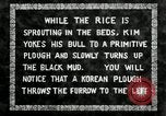 Standbild koreanischen Landwirt das Ox-pflügen Korea, 1936, aus Sekunde 7 historischem Filmmaterial Videoclip 65675028845