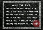 Standbild koreanischen Landwirt das Ox-pflügen Korea, 1936, aus Sekunde 8 historischem Filmmaterial Videoclip 65675028845