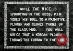 Standbild koreanischen Landwirt das Ox-pflügen Korea, 1936, aus Sekunde 9 historischem Filmmaterial Videoclip 65675028845