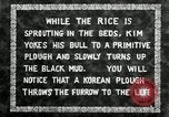 Standbild koreanischen Landwirt das Ox-pflügen Korea, 1936, aus Sekunde 12 historischem Filmmaterial Videoclip 65675028845