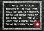 Standbild koreanischen Landwirt das Ox-pflügen Korea, 1936, aus Sekunde 15 historischem Filmmaterial Videoclip 65675028845