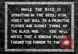 Standbild koreanischen Landwirt das Ox-pflügen Korea, 1936, aus Sekunde 16 historischem Filmmaterial Videoclip 65675028845