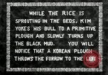 Standbild koreanischen Landwirt das Ox-pflügen Korea, 1936, aus Sekunde 18 historischem Filmmaterial Videoclip 65675028845