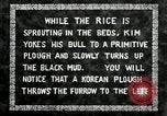 Standbild koreanischen Landwirt das Ox-pflügen Korea, 1936, aus Sekunde 19 historischem Filmmaterial Videoclip 65675028845