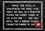 Standbild koreanischen Landwirt das Ox-pflügen Korea, 1936, aus Sekunde 20 historischem Filmmaterial Videoclip 65675028845