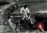 Standbild koreanischen Landwirt das Ox-pflügen Korea, 1936, aus Sekunde 21 historischem Filmmaterial Videoclip 65675028845