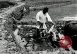 Standbild koreanischen Landwirt das Ox-pflügen Korea, 1936, aus Sekunde 22 historischem Filmmaterial Videoclip 65675028845
