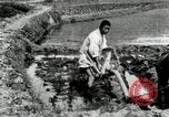 Standbild koreanischen Landwirt das Ox-pflügen Korea, 1936, aus Sekunde 24 historischem Filmmaterial Videoclip 65675028845