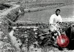 Standbild koreanischen Landwirt das Ox-pflügen Korea, 1936, aus Sekunde 26 historischem Filmmaterial Videoclip 65675028845