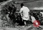 Standbild koreanischen Landwirt das Ox-pflügen Korea, 1936, aus Sekunde 41 historischem Filmmaterial Videoclip 65675028845