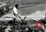 Standbild koreanischen Landwirt das Ox-pflügen Korea, 1936, aus Sekunde 47 historischem Filmmaterial Videoclip 65675028845