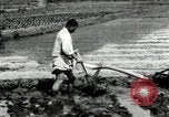 Standbild koreanischen Landwirt das Ox-pflügen Korea, 1936, aus Sekunde 48 historischem Filmmaterial Videoclip 65675028845