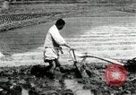 Standbild koreanischen Landwirt das Ox-pflügen Korea, 1936, aus Sekunde 49 historischem Filmmaterial Videoclip 65675028845