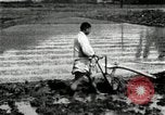 Standbild koreanischen Landwirt das Ox-pflügen Korea, 1936, aus Sekunde 51 historischem Filmmaterial Videoclip 65675028845