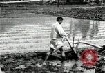 Standbild koreanischen Landwirt das Ox-pflügen Korea, 1936, aus Sekunde 52 historischem Filmmaterial Videoclip 65675028845