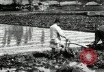 Standbild koreanischen Landwirt das Ox-pflügen Korea, 1936, aus Sekunde 55 historischem Filmmaterial Videoclip 65675028845