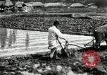 Standbild koreanischen Landwirt das Ox-pflügen Korea, 1936, aus Sekunde 56 historischem Filmmaterial Videoclip 65675028845