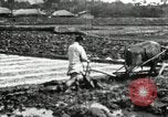 Standbild koreanischen Landwirt das Ox-pflügen Korea, 1936, aus Sekunde 58 historischem Filmmaterial Videoclip 65675028845