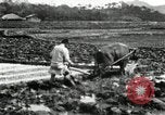 Standbild koreanischen Landwirt das Ox-pflügen Korea, 1936, aus Sekunde 60 historischem Filmmaterial Videoclip 65675028845