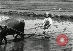 Image of Korean farmer harrowing Korea, 1936, second 19 stock footage video 65675028846