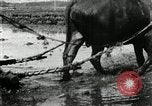 Image of Korean farmer harrowing Korea, 1936, second 33 stock footage video 65675028846