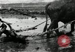 Image of Korean farmer harrowing Korea, 1936, second 34 stock footage video 65675028846