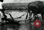 Image of Korean farmer harrowing Korea, 1936, second 35 stock footage video 65675028846