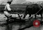 Image of Korean farmer harrowing Korea, 1936, second 38 stock footage video 65675028846
