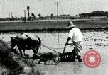 Image of Korean farmer harrowing Korea, 1936, second 40 stock footage video 65675028846