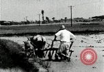 Image of Korean farmer harrowing Korea, 1936, second 43 stock footage video 65675028846
