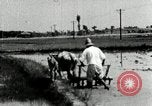 Image of Korean farmer harrowing Korea, 1936, second 44 stock footage video 65675028846