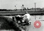 Image of Korean farmer harrowing Korea, 1936, second 45 stock footage video 65675028846