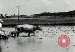 Image of Korean farmer harrowing Korea, 1936, second 47 stock footage video 65675028846