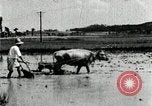 Image of Korean farmer harrowing Korea, 1936, second 48 stock footage video 65675028846
