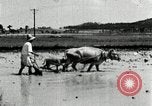 Image of Korean farmer harrowing Korea, 1936, second 49 stock footage video 65675028846