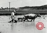 Image of Korean farmer harrowing Korea, 1936, second 50 stock footage video 65675028846