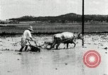 Image of Korean farmer harrowing Korea, 1936, second 53 stock footage video 65675028846