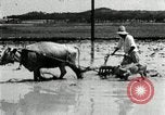Image of Korean farmer harrowing Korea, 1936, second 61 stock footage video 65675028846