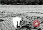 Image of Korean farmers spread manure Korea, 1936, second 9 stock footage video 65675028847