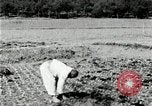 Image of Korean farmers spread manure Korea, 1936, second 11 stock footage video 65675028847