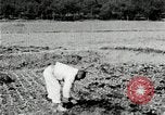 Image of Korean farmers spread manure Korea, 1936, second 12 stock footage video 65675028847