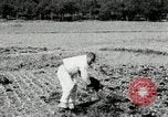 Image of Korean farmers spread manure Korea, 1936, second 14 stock footage video 65675028847