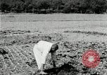 Image of Korean farmers spread manure Korea, 1936, second 15 stock footage video 65675028847