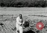 Image of Korean farmers spread manure Korea, 1936, second 17 stock footage video 65675028847