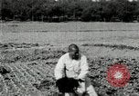 Image of Korean farmers spread manure Korea, 1936, second 18 stock footage video 65675028847