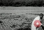 Image of Korean farmers spread manure Korea, 1936, second 19 stock footage video 65675028847