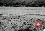 Image of Korean farmers spread manure Korea, 1936, second 20 stock footage video 65675028847