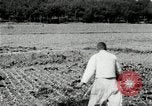 Image of Korean farmers spread manure Korea, 1936, second 22 stock footage video 65675028847